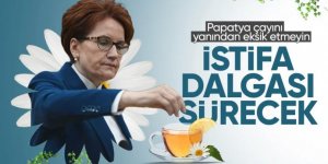 İyi Parti'de yaprak dökümünün bir diğer nedeni belli oldu!