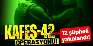 "KAFES-42" Operasyonunda Organize Suç Örgütü Üyesi 12 Şüpheli Yakalandı