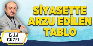 SİYASETTE ARZU EDİLEN TABLO