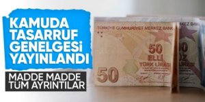 Tasarruf tedbirleri Resmi Gazete'de yayımlandı!