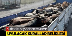 Kurbanlık sevkinde uyulacak kuralları belirledi