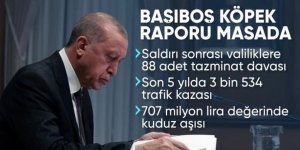 Başıboş sokak köpeği raporu Erdoğan'a sunuldu