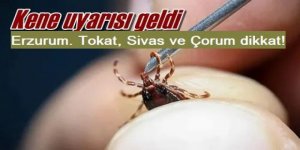 4 ilimiz diken üstünde! Tokat, Sivas, Çorum, ve Erzurum dikkat! Avrupa'dan uyarı geldi..