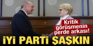 Erdoğan, Meral Akşener görüşmesinin perde arkası!