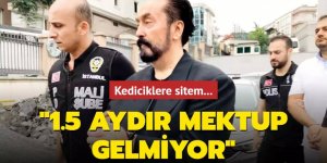 Kediciklere sitem: 1.5 aydır mektup gelmiyor: Erzurum'da ki Avukatların dosyası ayrıldı