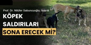 Prof. Dr. Nilüfer Sabuncuoğlu: "Çare sıfır başıboş köpek politikası"