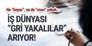 Bu meslekleri yapanlar dikkat: İş dünyası ''gri yakalıları'' arıyor