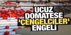 Ucuz domatese 'Çengelciler' engeli