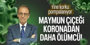 Mehmet Ceyhan: Maymun çiçeğinde ölüm oranı daha fazla