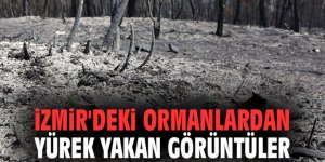 İzmir'de yürek yakan görüntüler