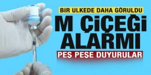 Bir ülke daha duyurdu: Maymun çiçeği görüldü