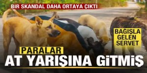 Bir skandal daha ortaya çıktı! Paralar at yarışına gitmiş