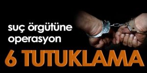 Organize suç örgütüne operasyon: 6 tutuklama