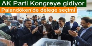 Palandöken'de delege seçimi