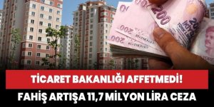 Ticaret Bakanlığı'ndan emlak ilanlarındaki fahiş artışa 11,7 milyon lira ceza