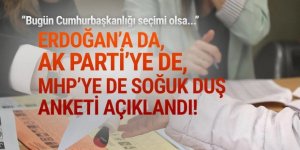 Son Cumhurbaşkanlığı seçim anketi açıklandı