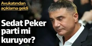 Sedat Peker parti mi kuruyor?