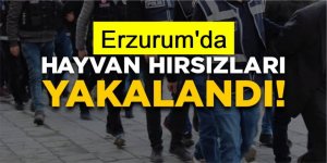 Erzurum'da hayvan hırsızları polisten kaçamadı