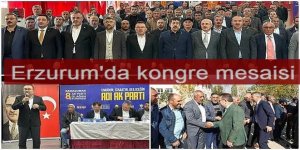 Erzurum'da kongre mesaisi