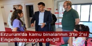 Erzurum'da kamu binalarının 3'te 2'si engellilere uygun değil!