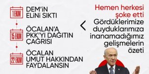 Devlet Bahçeli'nin terör sorununa karşı adım adım başlattığı yeni süreç