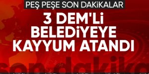 DEM'li 3 belediyeye kayyum atandı