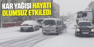 Erzurum'da yoğun kar yağışı hayatı olumsuz etkiliyor