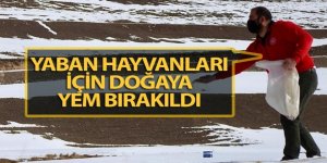 Tortum’da Yaban Hayvanları İçin Doğaya Yem Bırakıldı