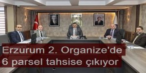 Erzurum 2. Organize'de 6 parsel tahsise çıkıyor